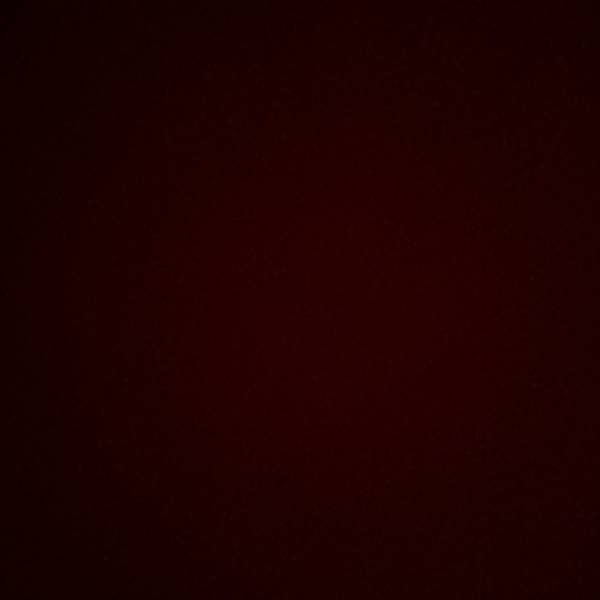 profilová fotografia