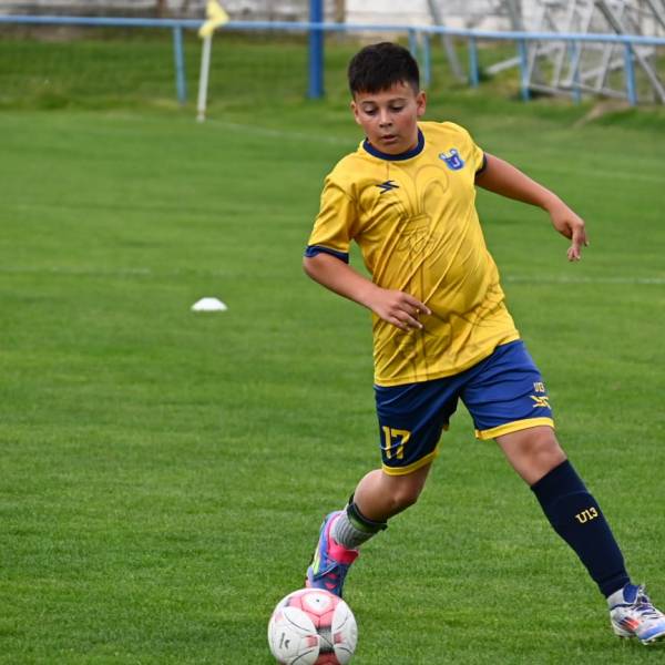 modelka s ID 01019VVZ8O p031