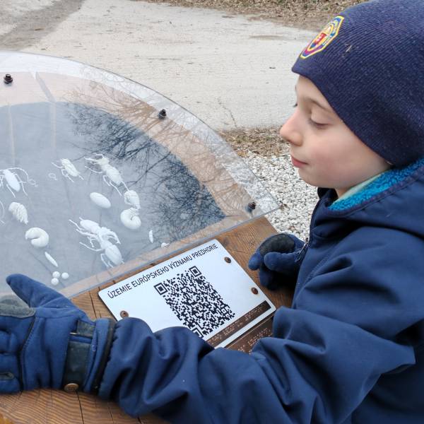 fotografia p014 profilu 0101UECQ9Q