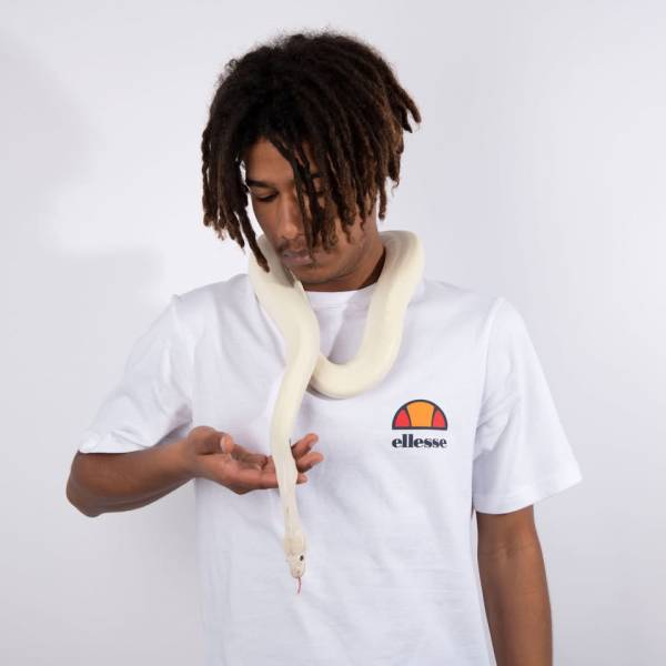 fotografia p012 profilu 0101XKXR3Y