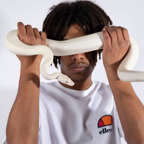 fotografia p014 profilu 0101XKXR3Y