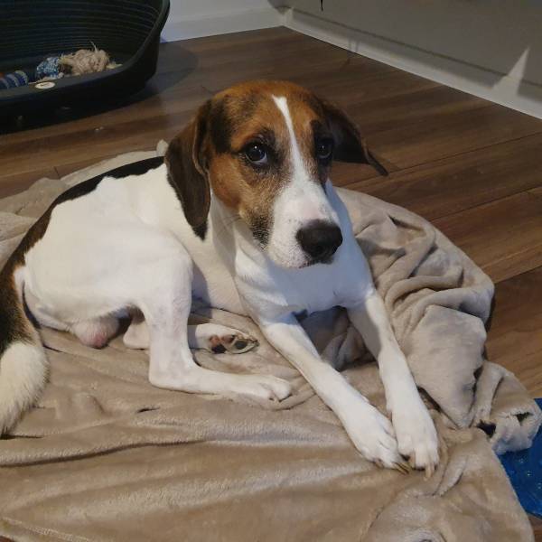 fotografia p013 profilu 0101YLFH3Q