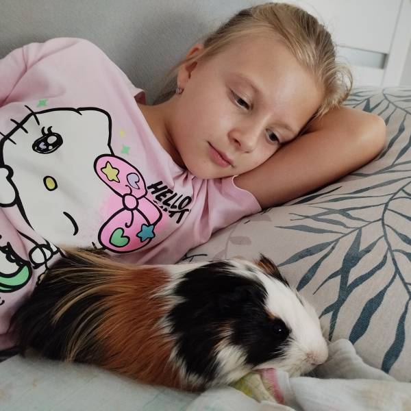 fotografia p012 profilu 01025QDLE0