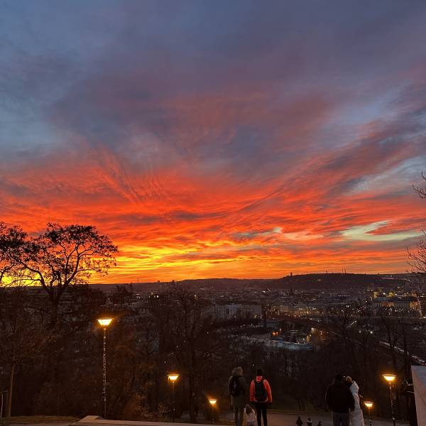 modelka s ID 0102CZMXVN p031