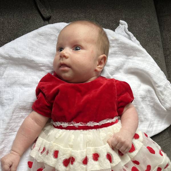 komparz profil 0102HOVZ68