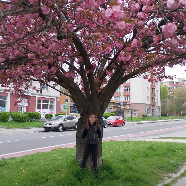 modelka s ID 0102NT389A p031