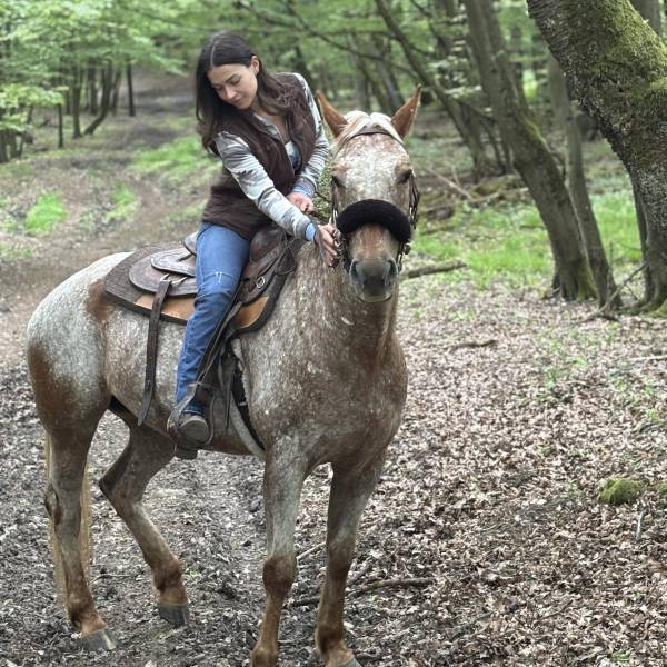 fotografia p013 profilu 0102PCBUGL