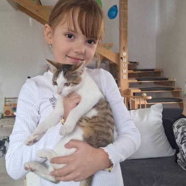 fotografia p015 profilu 0102Q8OL9K