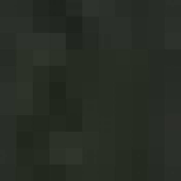 modelka s ID 0102ZWAR9F p021