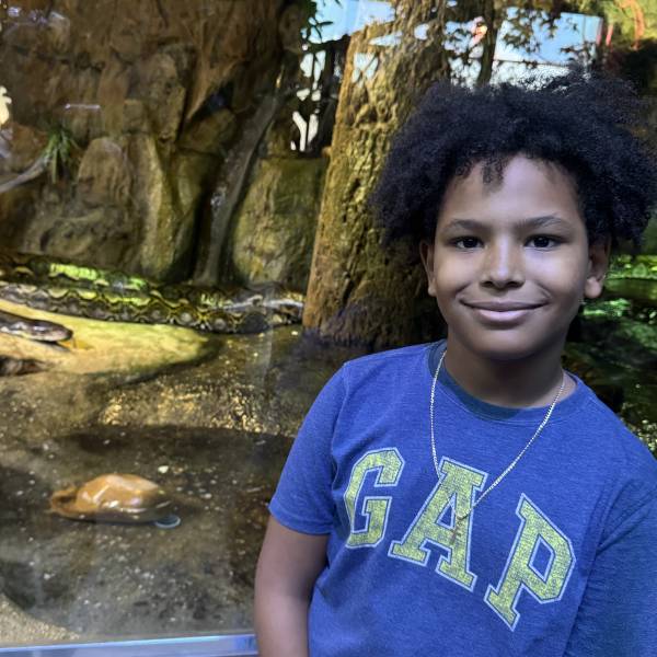 modelka s ID 0401H4LGED p017